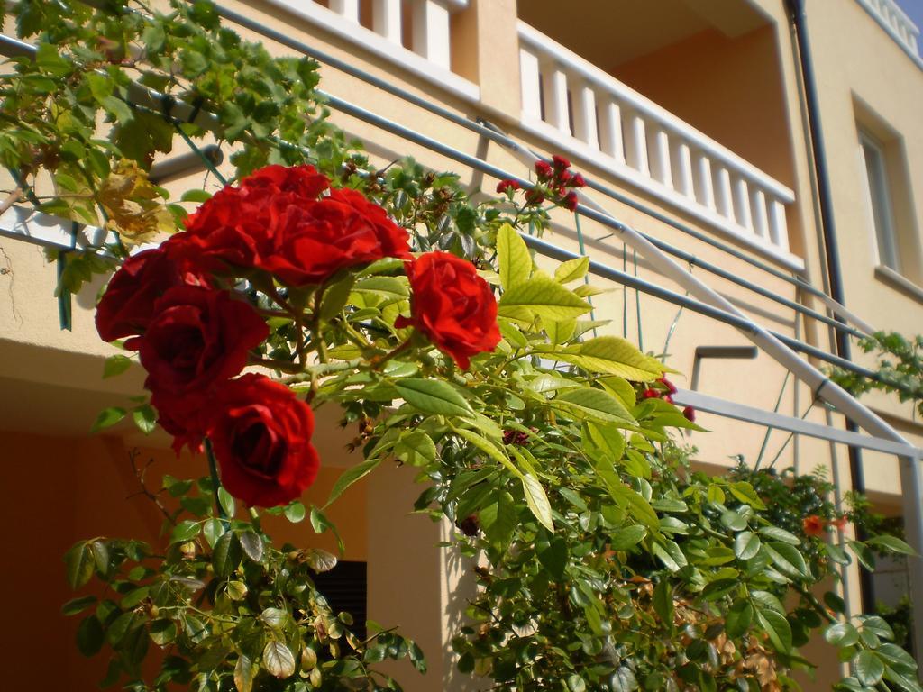 Apartments Tare, Free Parking Βόντιτσε Δωμάτιο φωτογραφία